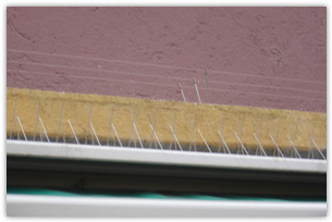 Anflugabsicherungen mit Drahtverspannungen und Spikes.